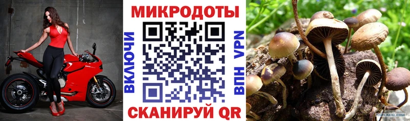 Псилоцибиновые грибы Psilocybine cubensis  купить наркоту  Переславль-Залесский 